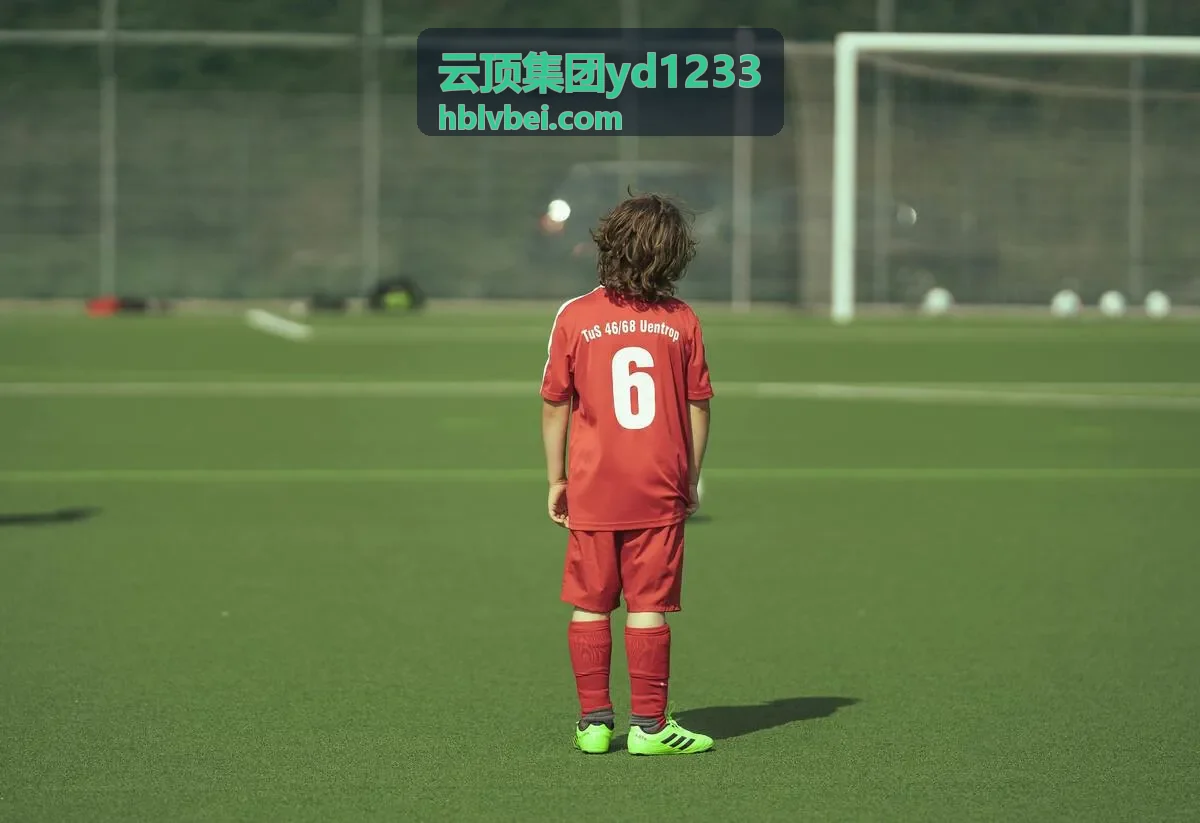 云顶集团yd1233咨询服务背景